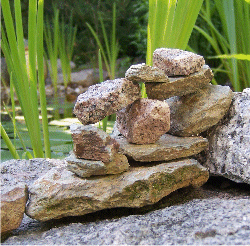 Stein